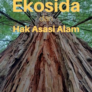 Ekosida dan Hak Asasi Alam - Fransiskus Nong Budi, C.P.